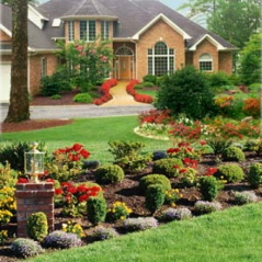 landscaping ideas